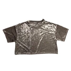 Urban Outfitters Kids Shimmering Gray Velvet Tee